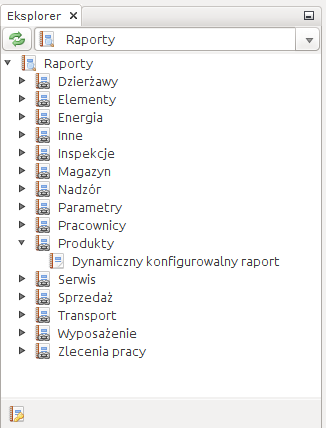 label and reports raporty lista podstawowe