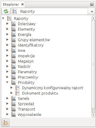 label and reports raporty lista wszystkie