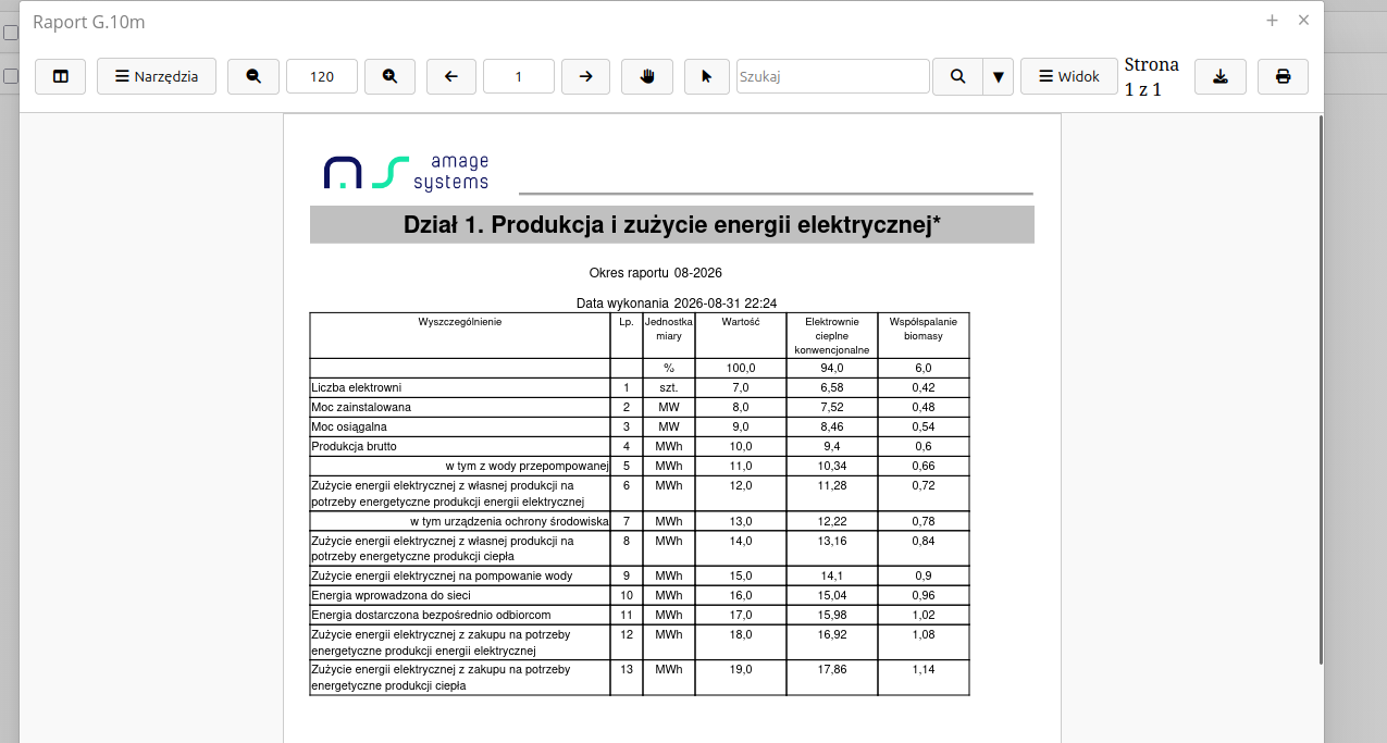 g10m raport pdf